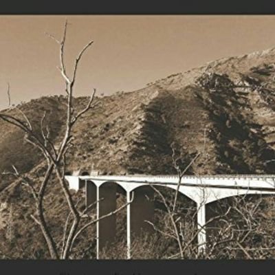 E_Bellagamba's profile picture. Reader, writer and survivor =P