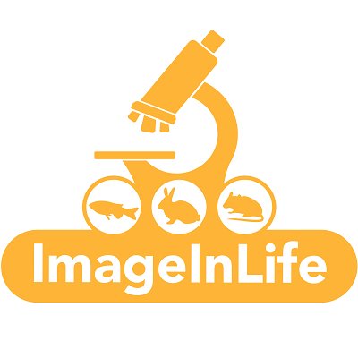 ImageInLife Profile Picture