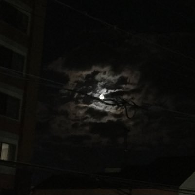 つかってませんさんのプロフィール画像