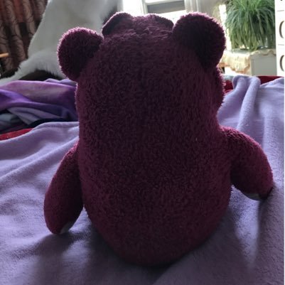 YangFan_Link's profile picture. 美國國家籃球協會 (NBA) 足球 遊戲 體育