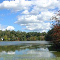 Landing on MoheganLk (@landingmohegan) 's Twitter Profile