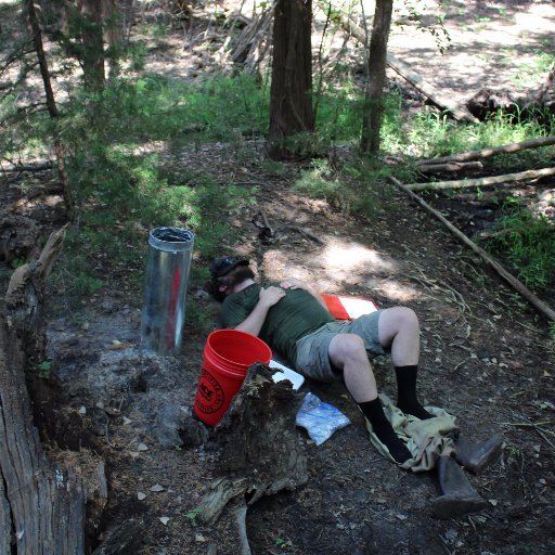 JaredGoos's profile picture. Semi-retired evolutionary ecologist. Many people are saying that I'm probably the voice of some generation.