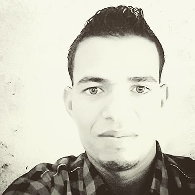 rabea2291991's profile picture. 