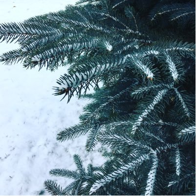 DavidCuse68's profile picture. 'Life moves pretty fast, you don't stop and look around once in a while, you could miss it'.