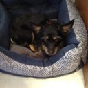 Nancy McGhee - @nancymcgh - Twitter