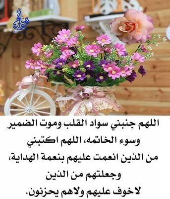 2wV1iRzNjMECmSq's profile picture. حبي الى الله وحده وجل في علاه وبر  ورضاء الوالدين