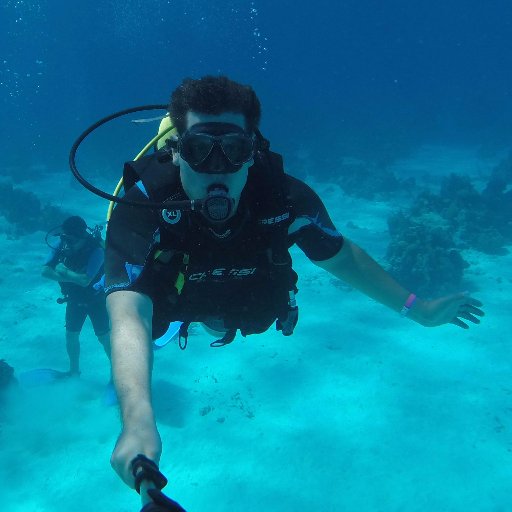 alejandroclaure's profile picture. Ingeniero en Redes y Telecomunicaciones