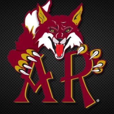 ARHSswampfox Profile Picture