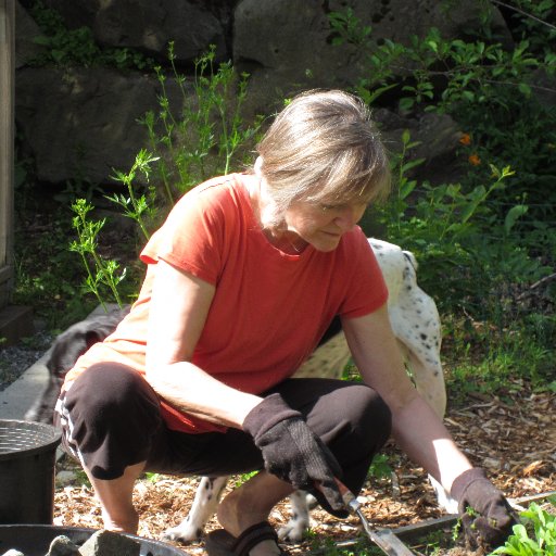 Progressive voter, climate advocate; rail as a climate solution; healthcare as a human right, fair taxation. Gardener, grandma, Orthopedic Massage Therapist