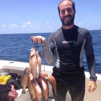 Joseph Curtis (@jocur512) 's Twitter Profile