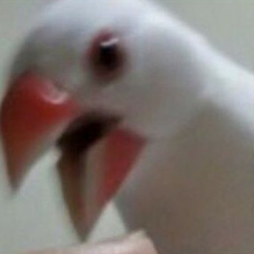 kdd224's profile picture. 