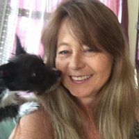 Traci Jean Hughes (@tracipeters11) 's Twitter Profile