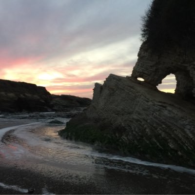 lgolay's profile picture. 