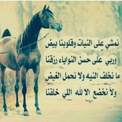 لولاي اداري دمعتي واكتم الجرح . . وانثر بدال دموع عيني حروفي / ماكان شفتوا في حياتي ولا فرح . . ولاقدرت اخفي حقيقة ظروفي