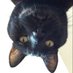 MizDiagnose (@mizdiagnose) Twitter profile photo