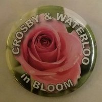 CWiB (@cwinbloom) 's Twitter Profile