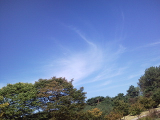 homeplus's profile picture. 