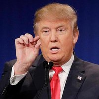 altpotus (@altpeeotus) 's Twitter Profile Photo