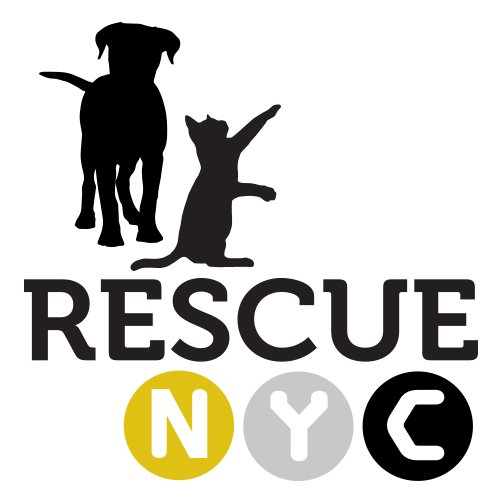 Rescue_NYC's profile picture. Empowering NYC's rescue community with targeted adoption support, services to defer pet surrenders, and resources for community cat caretakers performing TNR.