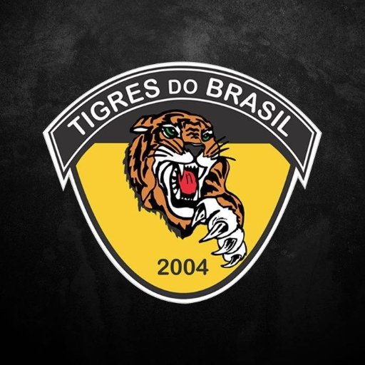 ECTigres's profile picture. Twitter Oficial do Tigres do Brasil.