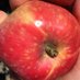 Heritage Fruit Trees (@heritage_fruit) Twitter profile photo Heritage Fruit Trees (@heritage_fruit) Twitter profile photo