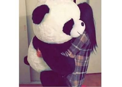 zee_neu's profile picture. || Danzante de Folklór, amor por los Pandas &&' amante de los Girasoles ||