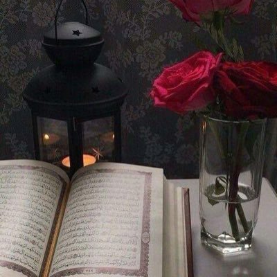 umm_bubba's profile picture. 🇧🇧umm of 👧🏻👧🏼👧🏽🧒🏾🧒🏽, I’m a female 🚛er, I ride🏍,  not your average plain Jane