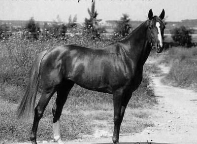 ClaudiaCLCI's profile picture. Me gustan las Piñas coladas y disfrutar bajo la lluvia inesperada...caminar bajo las estrellas para escapar a la aventura con mi amado...💪😉✌🇨🇱