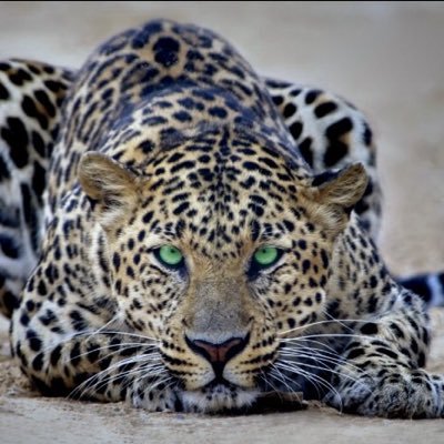 VitoM127's profile picture. 