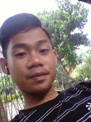 warllave12's profile picture. 