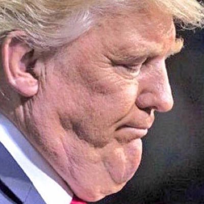 Image result for donald trump fat face