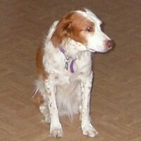M (@markede) 's Twitter Profile