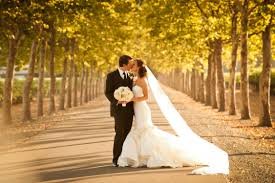 We are giving away free wedding packages everyday until Valentine's day! Just like our page and be the first to retweet our contest entry posts! Begins 2/1/2017