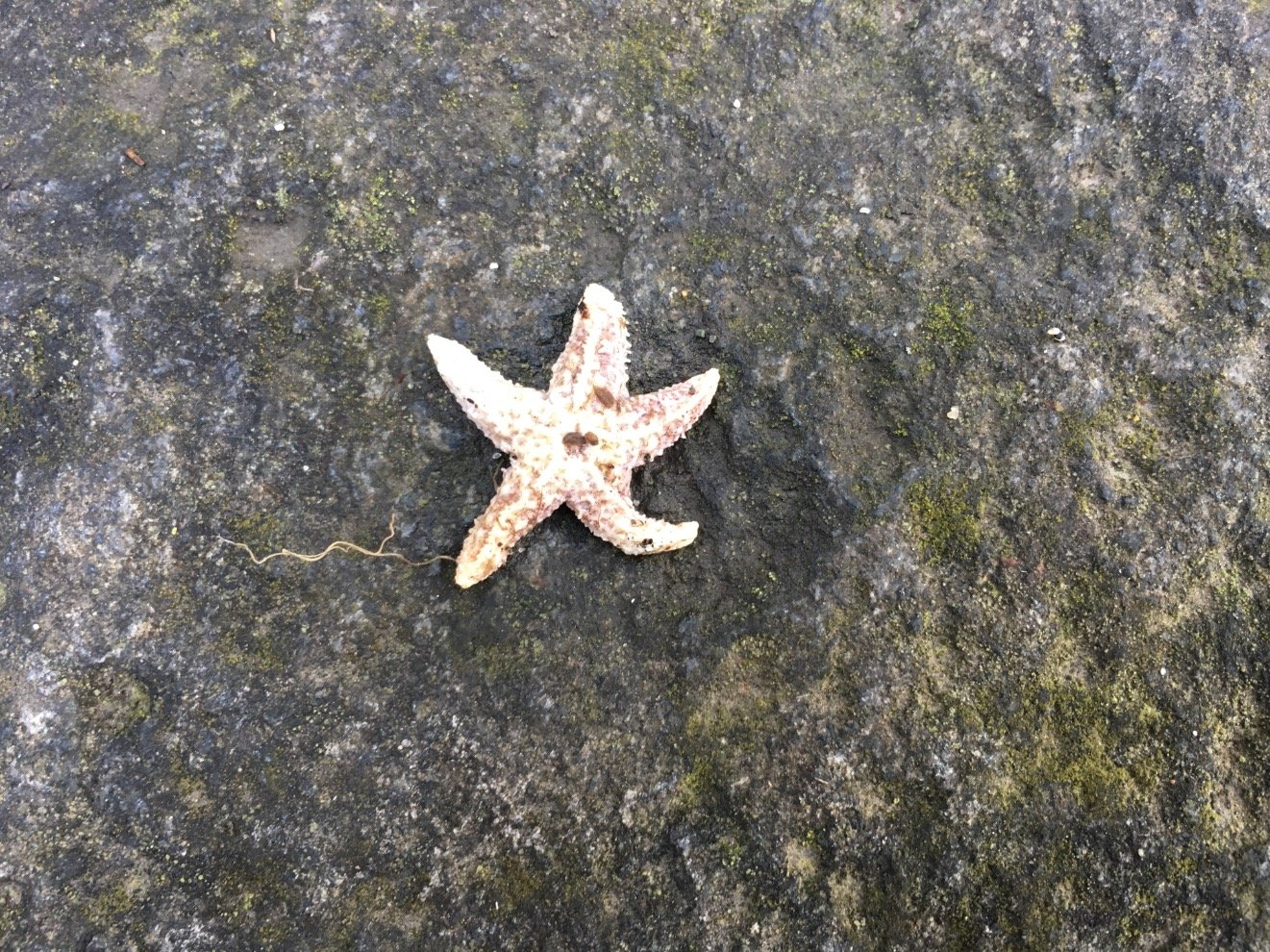 JKL_MD's profile picture. Hoping to live this life leaving it better than I found it.