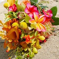 mayu (@maro2mayu) 's Twitter Profile