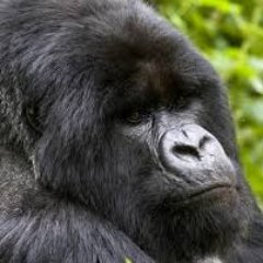 ととたけPさんのプロフィール画像