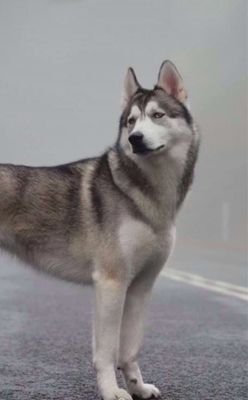 omar_91112's profile picture. 