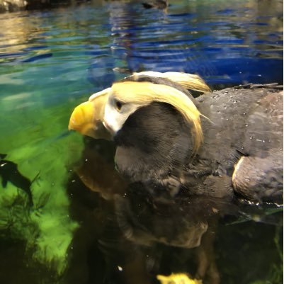 そふぁるさんのプロフィール画像