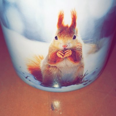 Bellamessersch1's profile picture. 