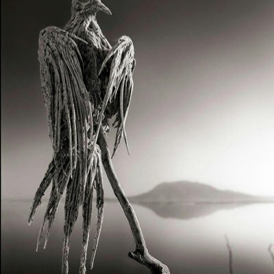 aboissaaaa's profile picture. blu sky moment