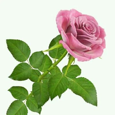यो मेरो tweets को गोदाम हो।
@pratima78950389 मा फल्लो गर्नु होला।