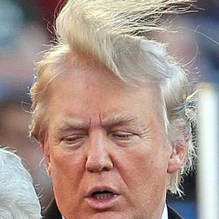 toupee in the wind