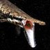 Primitive Fishes (@primitivefishes) Twitter profile photo Primitive Fishes (@primitivefishes) Twitter profile photo