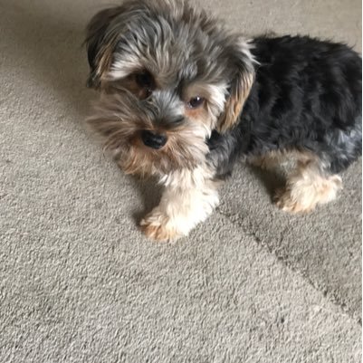 Dzp01141940's profile picture. 