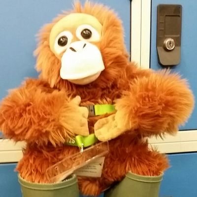 Home of #topstudents, #geogbanter and #GBGG. Gilbert-Brian the Geography Gorilla invites you to explore our department page for all things geographical!