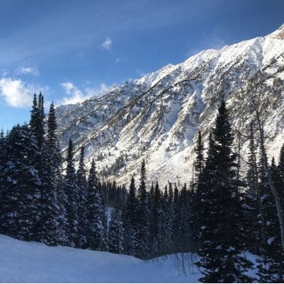 Vice President, Innovation at Partner Fusion, Inc. Search Engine Marketing, Social Media and Affiliate Management. I love to Mountain bike, hike and ski.