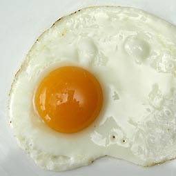 MisterSpiegelei's profile picture. 🍳 - lid van Youth - allergisch voor veegpoep