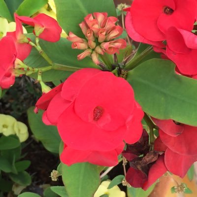 CarlsonJanda's profile picture. 