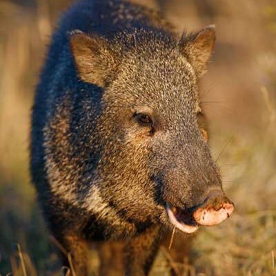 riverquotes's profile picture. Rez quotes. That's all.