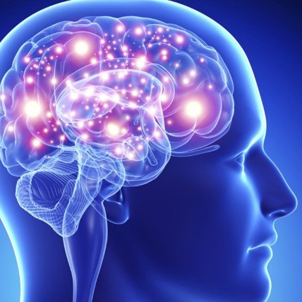 NMCerebral's profile picture. 